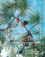 Cover image for Forest Trees: A Guide to the Eastern United States