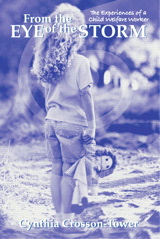 Cover image for From the Eye of the Storm: The Experiences of a Child Welfare Worker