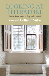 Cover image for Looking at Literature