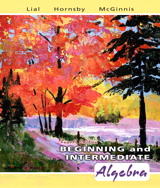 Cover image for Beginning and Intermediate Algebra, 4th Edition