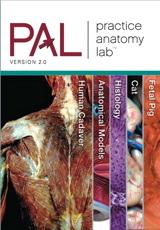 Cover image for Practice Anatomy Lab 2.0 CD-ROM