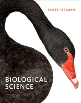 Product Cover Image