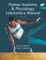 Product Cover Image