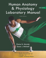 Cover image for Human Anatomy & Physiology Lab Manual, Main Version, 9th Edition