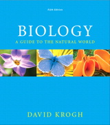 Product Cover Image