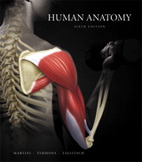 Cover image for Human Anatomy, 6th Edition