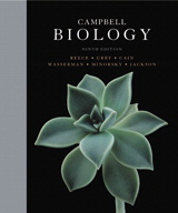 Product Cover Image