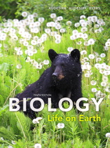 Product Cover Image