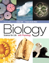 Product Cover Image