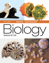Product Cover Image