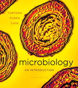 Product Cover Image