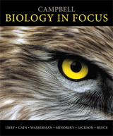 Product Cover Image