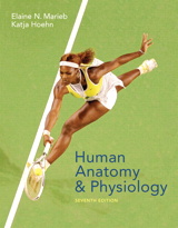 Cover image for Human Anatomy & Physiology, 7th Edition
