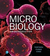 Product Cover Image